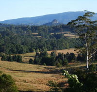 Grey Gum Lodge - Tourism Noosa