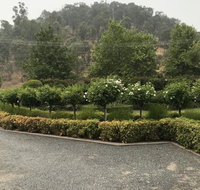 Guinevere - Tourism Noosa