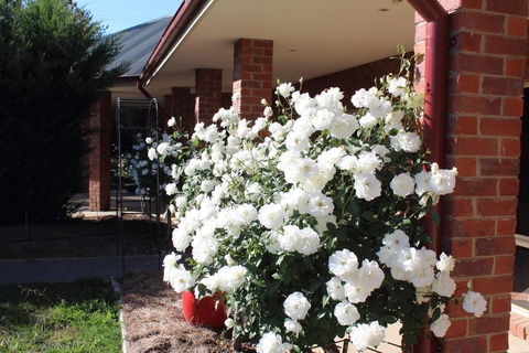 Gundaroo Manor Bed & Breakfast - Tourism Noosa 3