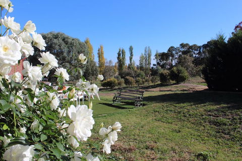 Gundaroo Manor Bed & Breakfast - Tourism Noosa 2