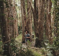 Habitat Noosa - Tourism Noosa