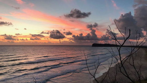 Hakuna Matata - Tourism Noosa 3