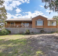 Halcyon - Tourism Noosa