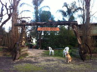 Book Tinamba Accommodation Vacations Tourism Noosa Tourism Noosa