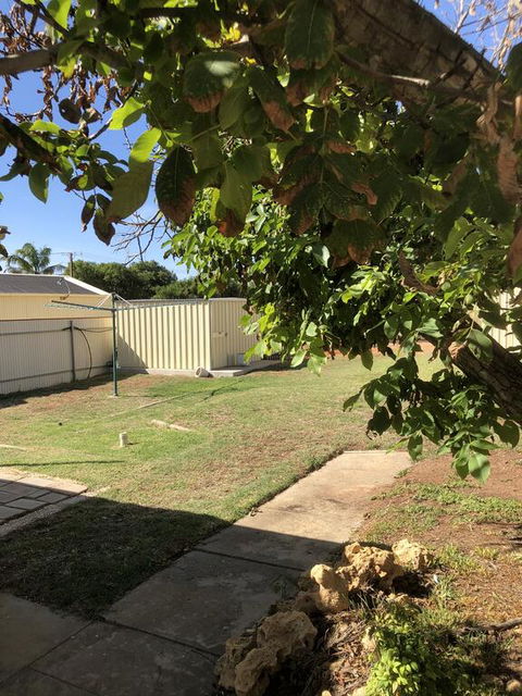 Happy Hours - Tourism Noosa 3