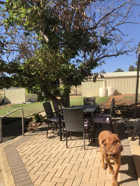 Happy Hours - Tourism Noosa 2