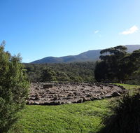Hawksview at Mafeking - Tourism Noosa