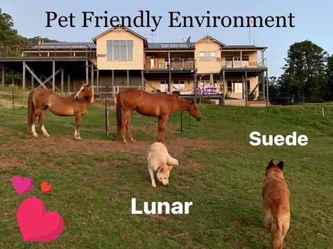 Heavenly Retreat B&B - Tourism Noosa 1