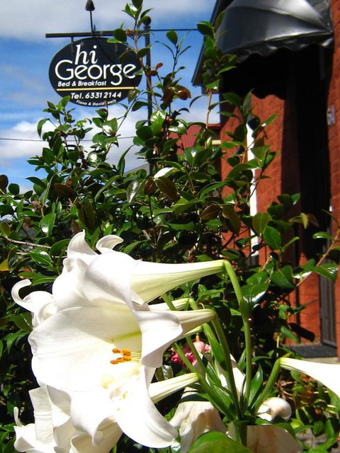 Hi George B&B - Tourism Noosa 1