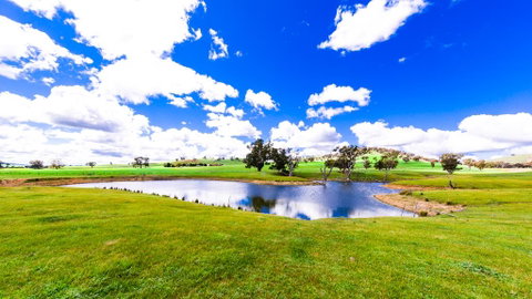 Hillview Farmstay - Tourism Noosa 0