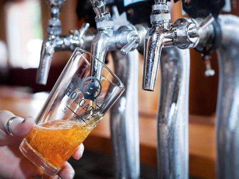 Holgate Brewhouse - Tourism Noosa 0