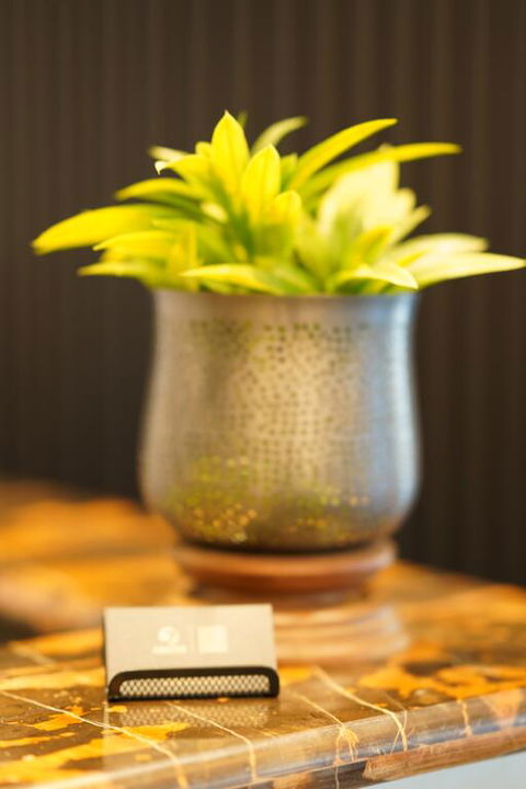 Jephson Hotel & Apartments - Tourism Noosa 3
