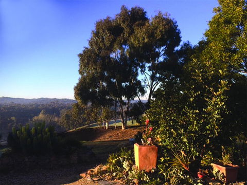 Kangaroo Hill Studio - Tourism Noosa 2