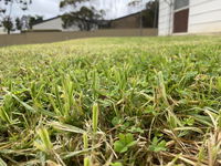 Book Karoonda Accommodation Vacations Tourism Noosa Tourism Noosa