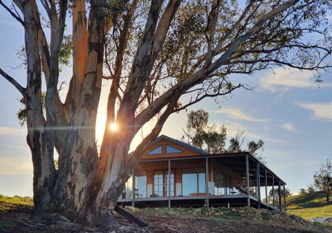 Kestrel Nest EcoHut - Tourism Noosa 0
