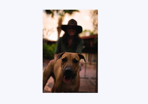 Kimberley Croc Motel - Tourism Noosa 1