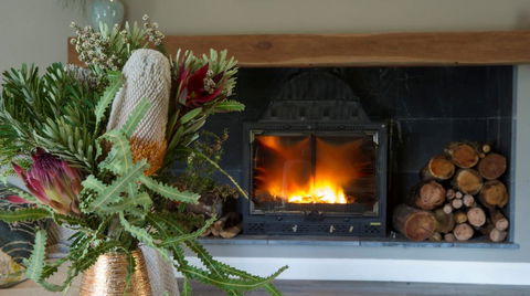 KOALA GULLY - Tourism Noosa 0