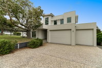 Kurrajong