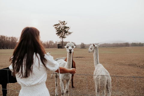 Laurina Estate - Tourism Noosa 0