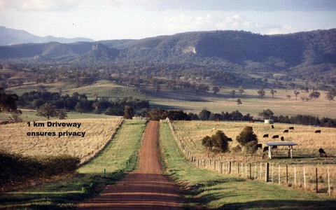 LeCamah Hill - Tourism Noosa 2