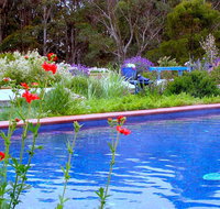 Lemonade Creek Cottages - Tourism Noosa