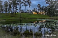 Book Curra Accommodation Vacations Tourism Noosa Tourism Noosa
