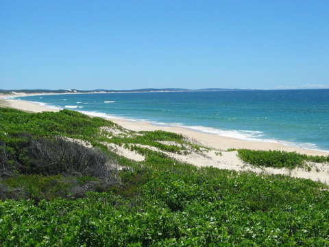 LingaLonga - Tourism Noosa 1