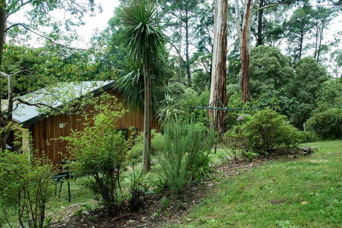 Luxury Forest Retreat - Puffing Billy - Tourism Noosa 2