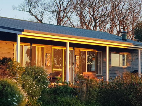 Mallavale Farm, Boat Harbour - Tourism Noosa 1