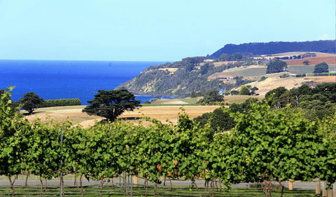 Mallavale Farm, Boat Harbour - Tourism Noosa 0