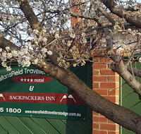 Mansfield Travellers Lodge - Tourism Noosa