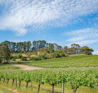 McLaren Vale Getaways - Tourism Noosa