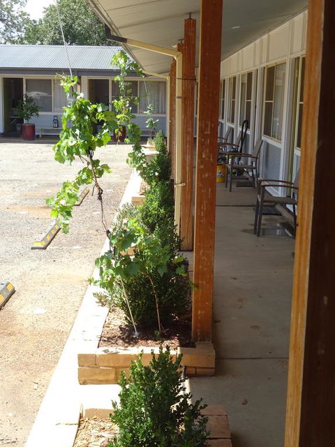 Memphis Motor Inn - Tourism Noosa 3