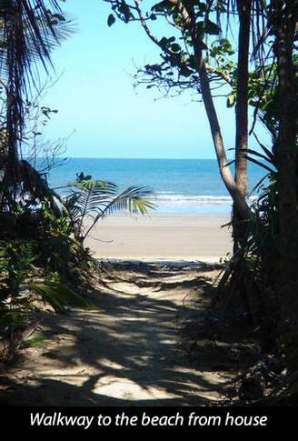 Mission Belle - Stunning Beachfront House - Tourism Noosa 3