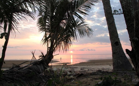 Mission Belle - Stunning Beachfront House - Tourism Noosa 2