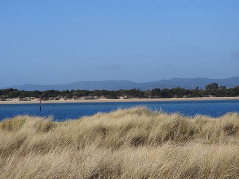 Moomba Holiday And Caravan Park - Tourism Noosa 1