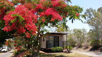 Book Mount Larcom Accommodation Vacations Tourism Noosa Tourism Noosa