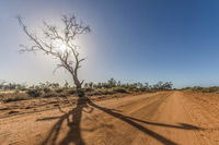 Book Mungo Accommodation Vacations Tourism Noosa Tourism Noosa