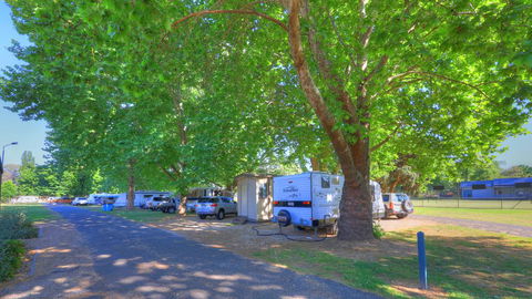 Myrtleford Holiday Park - Tourism Noosa 1