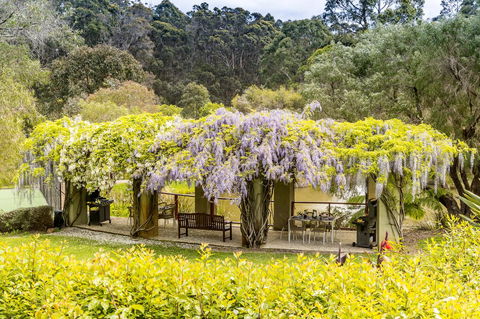 Grand Mercure Basildene Manor - Tourism Noosa 7