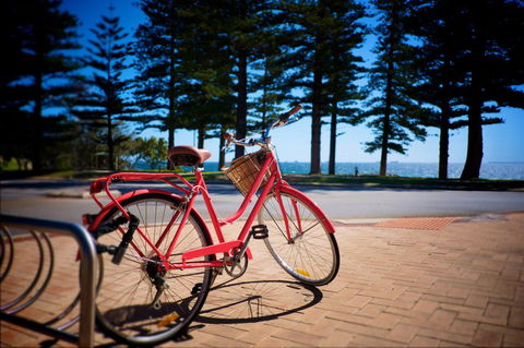 Cottesloe Artist's Beach Retreat - Tourism Noosa 31