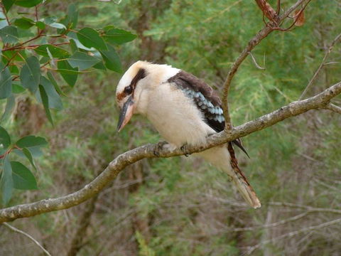 Margaret River Hideaway & Farmstay - Tourism Noosa 31