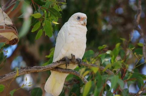 Margaret River Hideaway & Farmstay - Tourism Noosa 26
