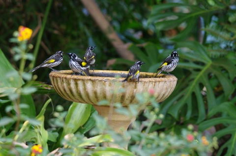 Margaret River Hideaway & Farmstay - Tourism Noosa 30