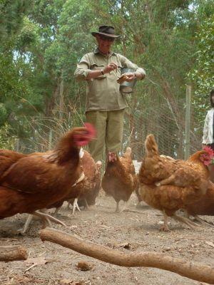 Margaret River Hideaway & Farmstay - Tourism Noosa 28