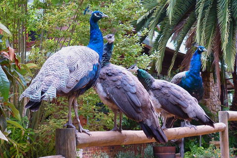 Margaret River Hideaway & Farmstay - Tourism Noosa 19