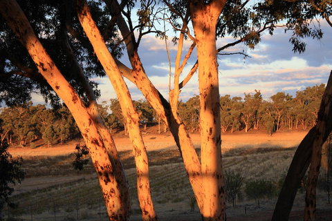 Hotham Ridge Estate - Tourism Noosa 30