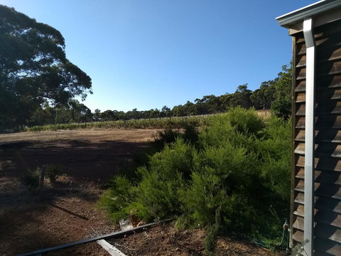 Hotham Ridge Estate - Tourism Noosa 15