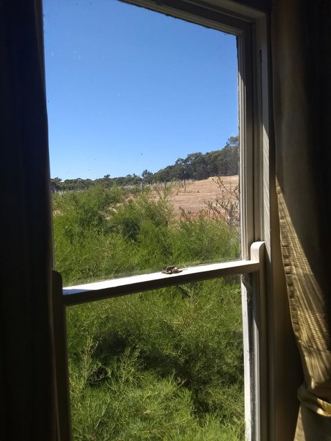 Hotham Ridge Estate - Tourism Noosa 8