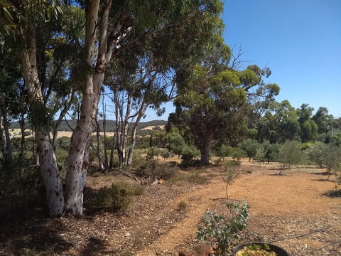 Hotham Ridge Estate - Tourism Noosa 13